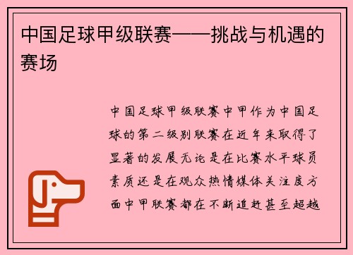 中国足球甲级联赛——挑战与机遇的赛场