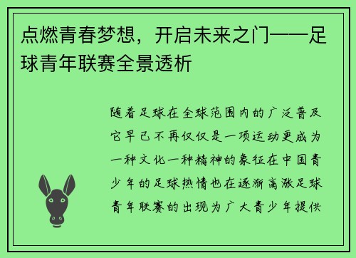 点燃青春梦想，开启未来之门——足球青年联赛全景透析
